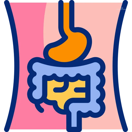 digestive-system